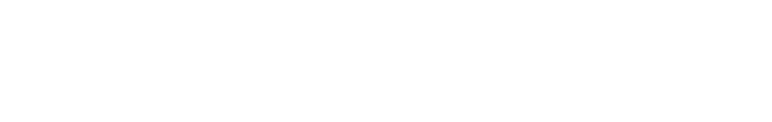 Istanbul Health and Technology University logo